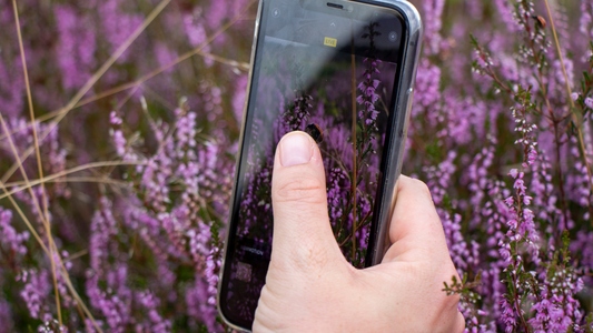 Bloemen fotograferen met je smartphone