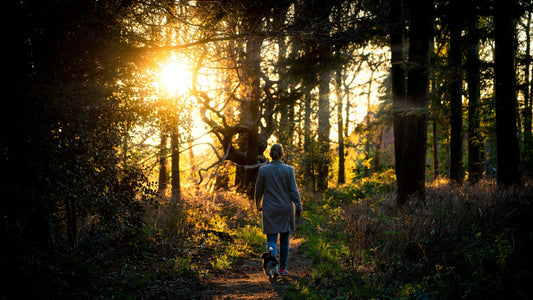 Mooiste wandelroutes in Nederland