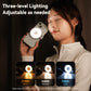 Telesin C03 MagSafe Selfie Light with mirror – Silver