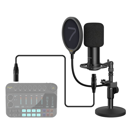 7RYMS AX100D Cardioïde Condensator XLR Microfoon Kit - Microfoon