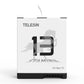 Telesin Pocket Triple Charging Case with 2 Batteries - for GoPro 13